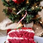 Video of Cake Decorating Watch a mesmerizing video of cake decorating by a professional baker