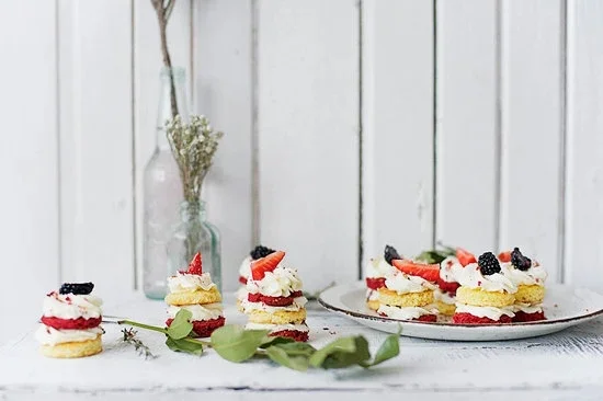 Straightforward designs for easy cake decorating patterns suitable for beginners