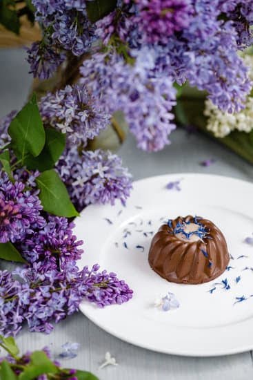 Wilton Halloween Cake Decorations 1 Wilton Halloween Cake Decorations: Spooky and Fun Cake Toppers for a Festive Halloween Dessert