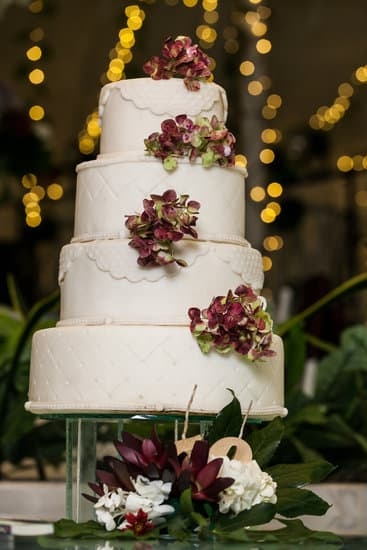 Seaside cake decorations featuring shells and starfish for beach-themed dessert designs