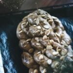 Freezing Fondant Decorated Cakes View stunning freezing fondant decorated cakes for your special occasions - get inspired today!