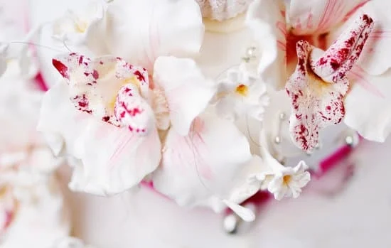 Wedding cake decorating stencils for adding elegant patterns and designs