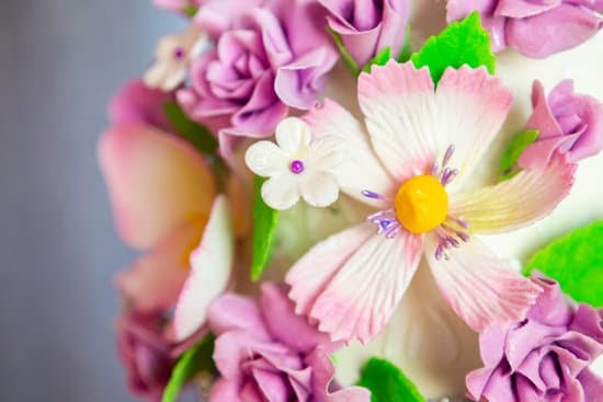 How to Decorate Cake Border Designs 1 How to Decorate Cake Border Designs: Step-by-Step Instructions for Stunning Cake Edges