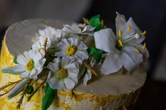 Creative and quick train cake ideas for easy decorating, perfect for beginners