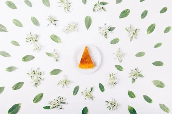 How to Decorate a 21 Birthday Cake 3 How to decorate a 21st birthday cake with colorful icing and sprinkles