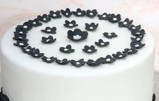 Cake Decorating Store Springfield Mo 1 Explore a wide range of cake decorating supplies in our Springfield MO store!