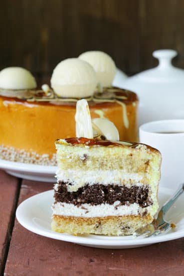 Vibrant butterfly shaped cake pans and decorating tools for creating stunning cakes