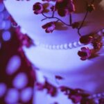 Cake Decorating Tip Guide Expert cake decorating tip guide with step-by-step instructions and creative ideas for stunning cake designs