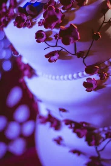 Expert cake decorating tip guide with step-by-step instructions and creative ideas for stunning cake designs