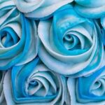 Browse our wide selection of cake decorating supplies in Adelaide, Magill - everything you need!