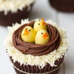 How to Decorate a Cheese Cake: Step-by-step instructions for creating beautiful designs on your delicious dessert