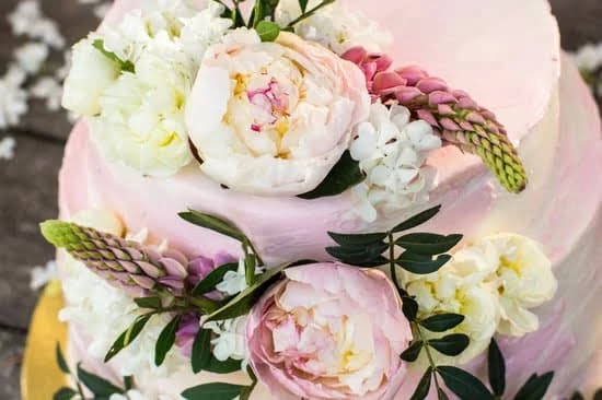 Discover a variety of WHERE TO BUY CAKE DECORATING SUPPLIES online or at your local baking store