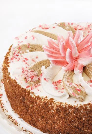 Cake Decorating Store 1 Cake decorating supplies and tools at our specialized store