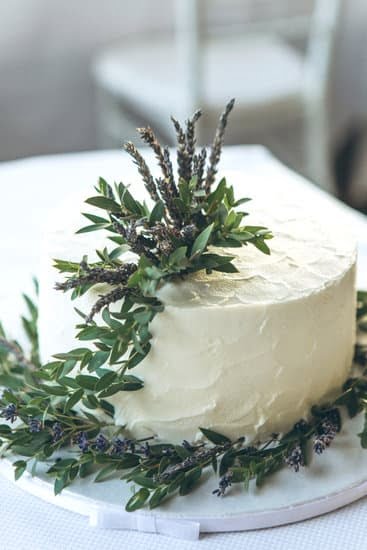 How to Decorate a Bunny Cake for Easter 1 Step-by-Step Guide with Icing and Candy Decorations