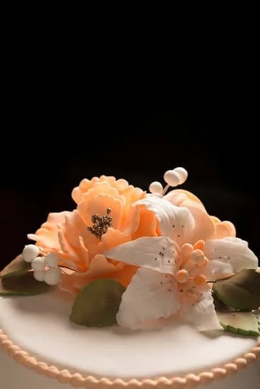 a delicious, visually stunning cake design