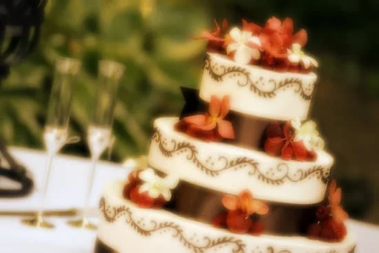 Step-by-step guide on how to decorate cake with rosettes, perfect for home bakers