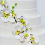 How to Prepare Frosting for Cake Decorating Step-by-step guide for preparing frosting - essential for cake decorating