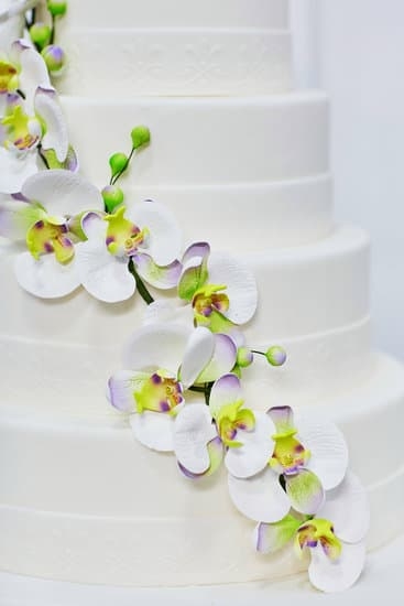 How to Prepare Frosting for Cake Decorating 7 Step-by-step guide for preparing frosting - essential for cake decorating