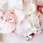 Cake Decorating Projector Enhance precision with Cake Decorating Projector for flawless cake designs